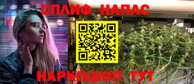 дмт Краснодар