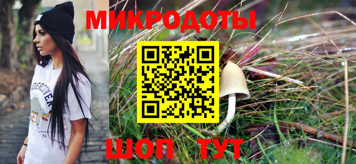 Галлюциногенные грибы мицелий Карачаевск