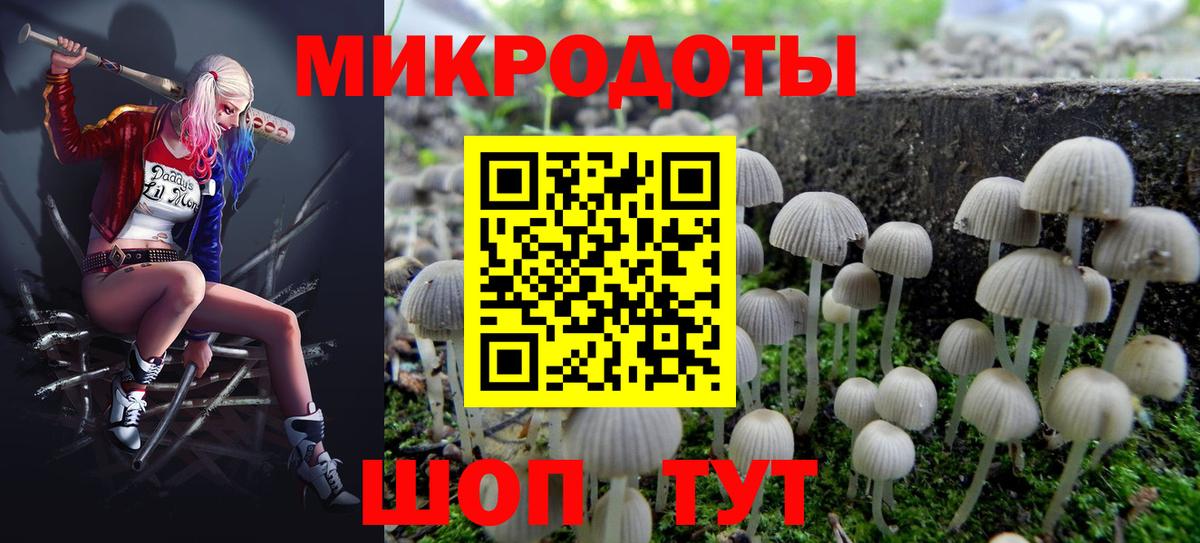 Карачаевск  Галлюциногенные грибы Psilocybe  Вход с VPN  Галлюциногенные грибы прущие грибы 